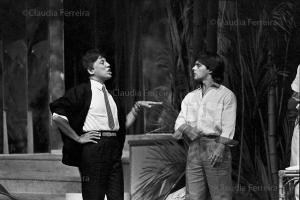 SEDA PURA E ALFINETADAS