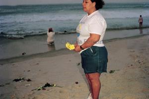 Conferência das Nações Unidas sobre Meio Ambiente e Desenvolvimento - Rio 92