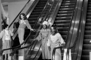 Congresso Mundial de Mulheres por um Planeta Saudável 