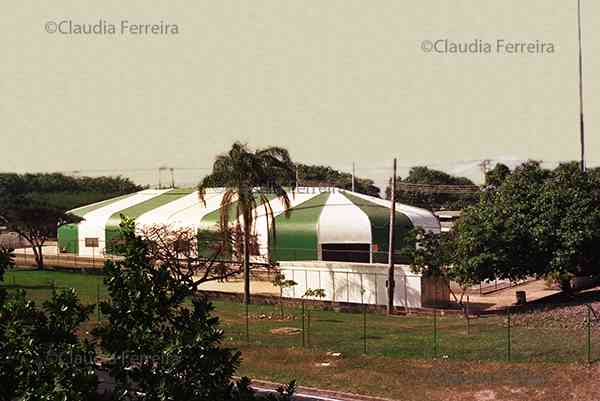 Conferência das Nações Unidas sobre Meio Ambiente e Desenvolvimento, Rio 92, Fórum Global. Planeta Fêmea.